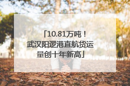 10.81万吨！武汉阳逻港直航货运量创十年新高