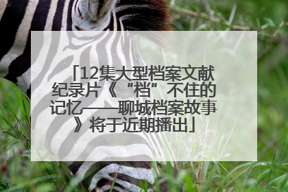 12集大型档案文献纪录片《“档”不住的记忆——聊城档案故事》将于近期播出