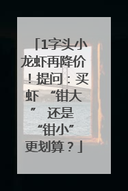 1字头小龙虾再降价！提问：买虾 “钳大” 还是 “钳小” 更划算？