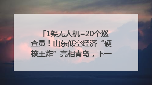 1架无人机=20个巡查员！山东低空经济“硬核王炸”亮相青岛，下一个万亿赛道藏在这里