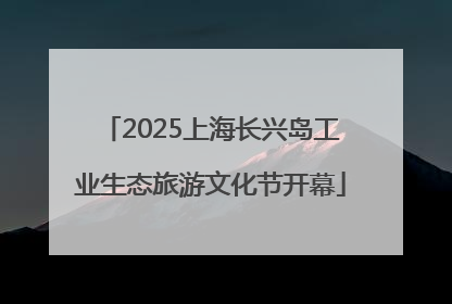 2025上海长兴岛工业生态旅游文化节开幕