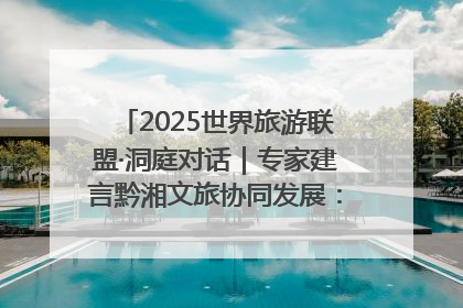 2025世界旅游联盟·洞庭对话｜专家建言黔湘文旅协同发展：聚焦产品稀缺性 深化区域经验共享