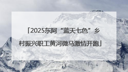 2025东阿“蓝天七色”乡村振兴职工黄河微马激情开跑
