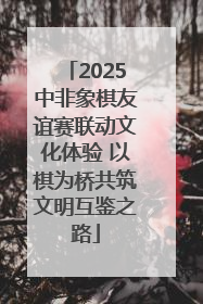 2025中非象棋友谊赛联动文化体验 以棋为桥共筑文明互鉴之路
