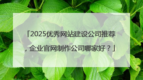 2025优秀网站建设公司推荐，企业官网制作公司哪家好？