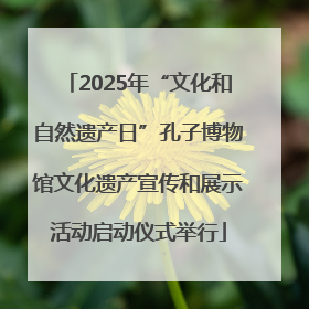 2025年“文化和自然遗产日”孔子博物馆文化遗产宣传和展示活动启动仪式举行