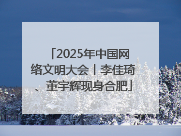 2025年中国网络文明大会丨李佳琦、董宇辉现身合肥
