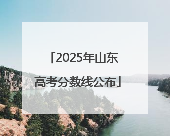 2025年山东高考分数线公布