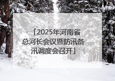 2025年河南省总河长会议暨防汛备汛调度会召开