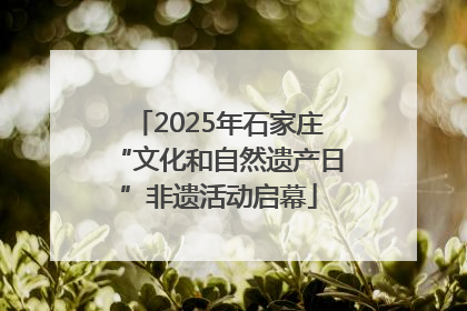 2025年石家庄“文化和自然遗产日”非遗活动启幕