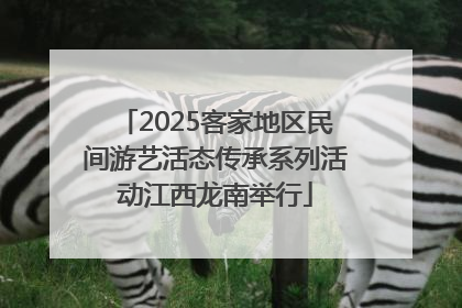 2025客家地区民间游艺活态传承系列活动江西龙南举行