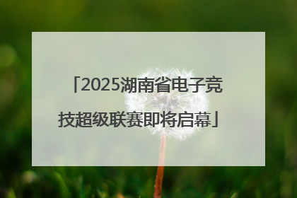 2025湖南省电子竞技超级联赛即将启幕