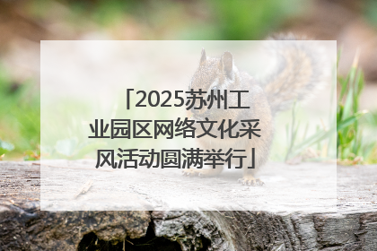 2025苏州工业园区网络文化采风活动圆满举行