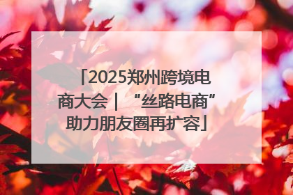 2025郑州跨境电商大会｜“丝路电商”助力朋友圈再扩容