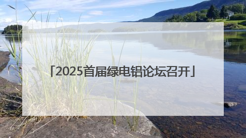 2025首届绿电铝论坛召开