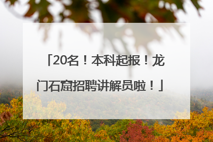 20名！本科起报！龙门石窟招聘讲解员啦！