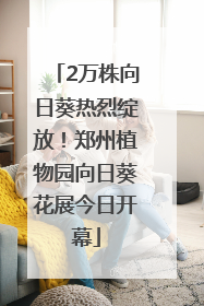 2万株向日葵热烈绽放！郑州植物园向日葵花展今日开幕