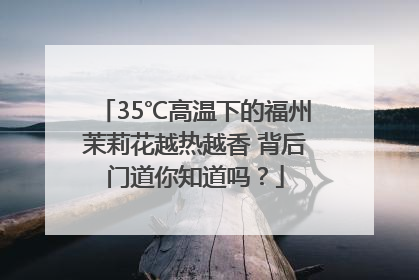 35℃高温下的福州茉莉花越热越香 背后门道你知道吗？