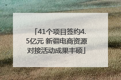 41个项目签约4.5亿元 新疆电商资源对接活动成果丰硕