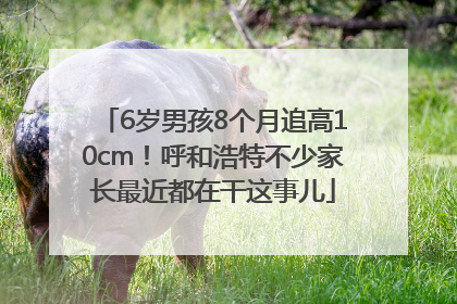 6岁男孩8个月追高10cm！呼和浩特不少家长最近都在干这事儿