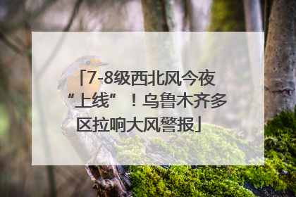 7-8级西北风今夜“上线”！乌鲁木齐多区拉响大风警报