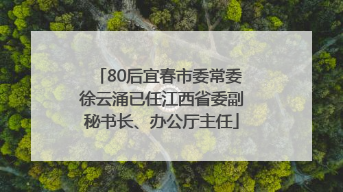 80后宜春市委常委徐云涌已任江西省委副秘书长、办公厅主任