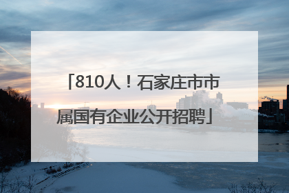810人！石家庄市市属国有企业公开招聘