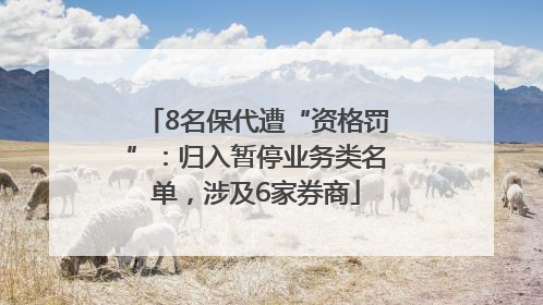 8名保代遭“资格罚”：归入暂停业务类名单，涉及6家券商