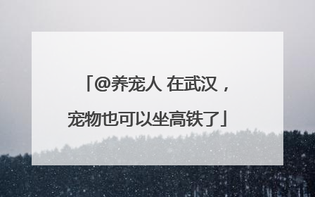 @养宠人 在武汉，宠物也可以坐高铁了