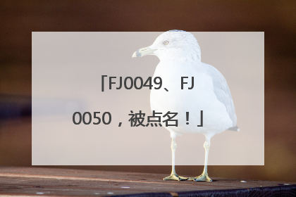 FJ0049、FJ0050，被点名！