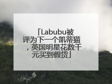 Labubu被评为下一个凯蒂猫，英国明星花数千元买到假货