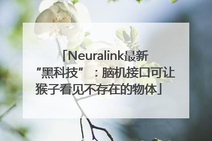 Neuralink最新“黑科技”:脑机接口可让猴子看见不存在的物体