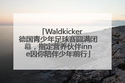 Waldkicker德国青少年足球赛圆满闭幕，指定营养伙伴inne因你陪伴少年前行