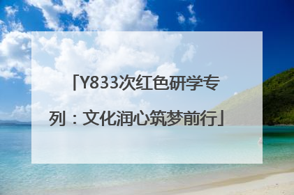 Y833次红色研学专列：文化润心筑梦前行